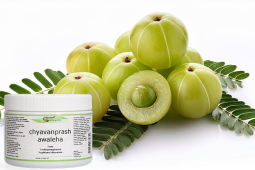 Chyavanprash Awaleha